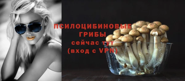 наркотики Алексин