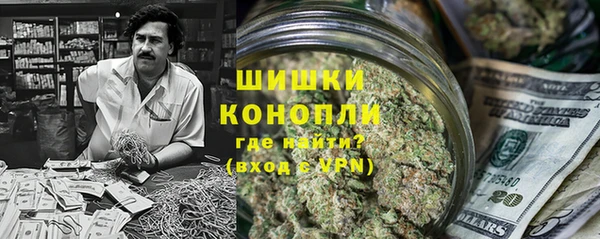 PSILOCYBIN Алексеевка
