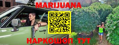 сатива Малгобек