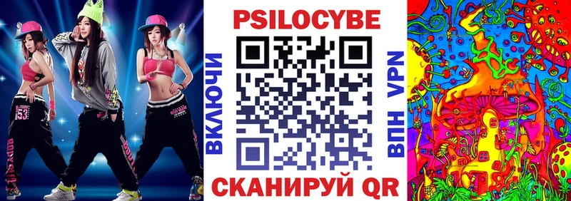 Псилоцибиновые грибы Psilocybe  Дивногорск 