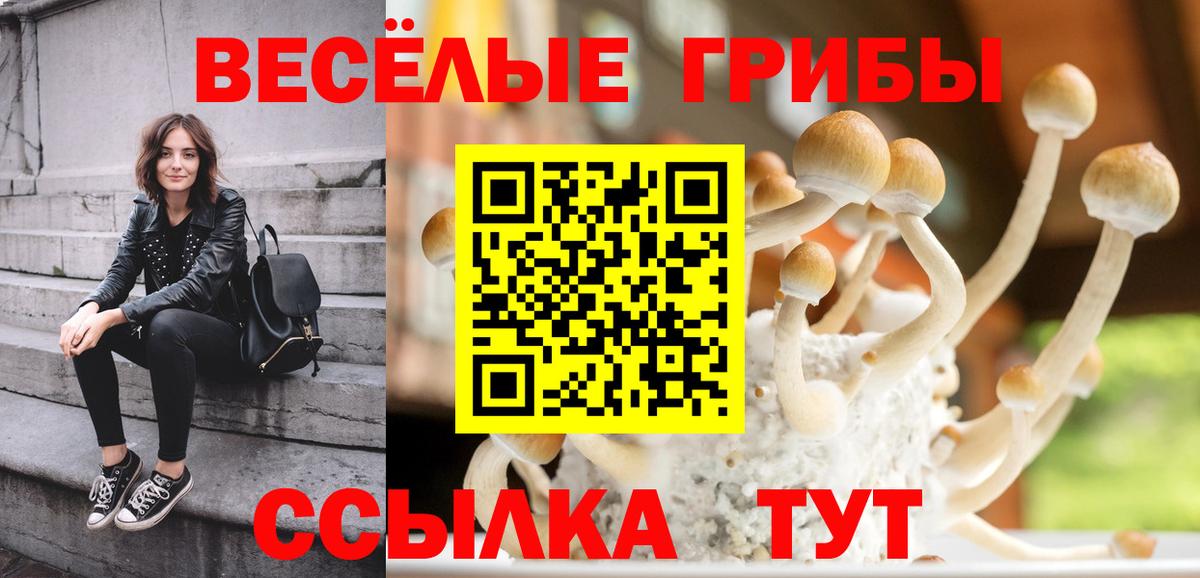 Галлюциногенные грибы Psilocybine cubensis Дивногорск