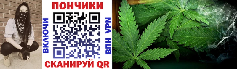 Канабис VHQ  MEGA как зайти  Дивногорск  где купить наркоту 